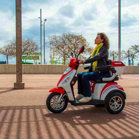 Scooter Eléctrico - Moto de 3 Ruedas Potente Madeira