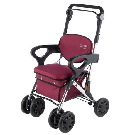 Andador para Personas Mayores con Asiento Ancho y Reposabrazos Playcare