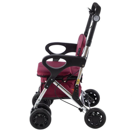 Andador para Personas Mayores con Asiento Ancho y Reposabrazos Playcare