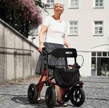 Andador Rolator Todoterreno Alemán Taima XL