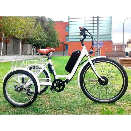 Bicicleta-Triciclo Eléctrico con 3 Ruedas (Autonomía hasta 80 Km)