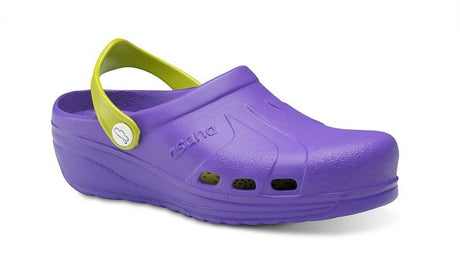 Zueco profesional Cómodo y Ligero de Eva ASANA Feliz Caminar