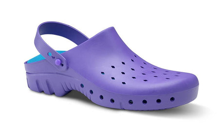 Zueco Profesional Antiestático TÉCNICO Feliz Caminar