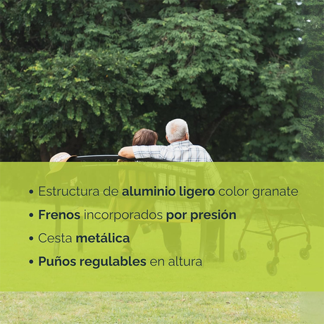 Andador con Frenos por Presión y Asiento Acolchado