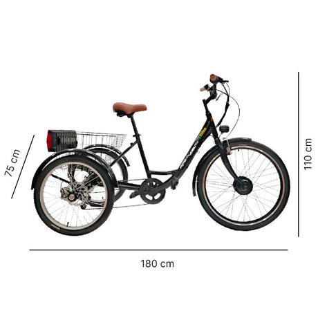 Bicicleta-Triciclo Eléctrico Accesible