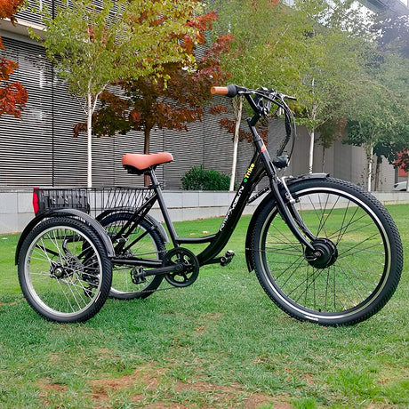 Bicicleta-Triciclo Eléctrico Display LCD