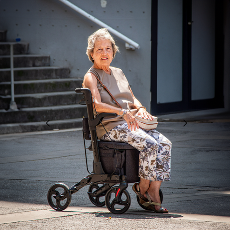 Carro Compra Andador con Reposabrazos Cesta XL Magnum Shop Plus