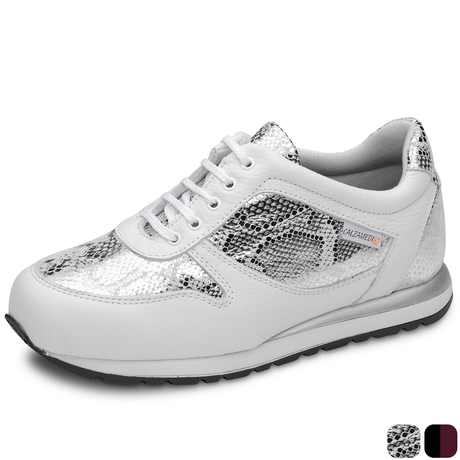 Zapatillas Deportivas Modernas 