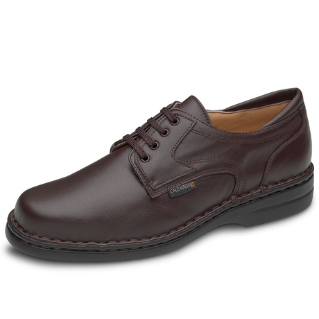 Zapato Hombre Cordones Marron