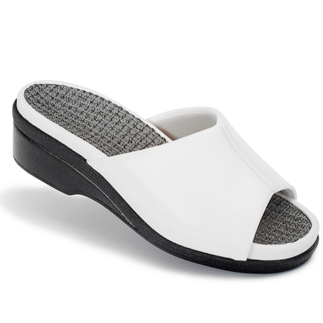 Zueco Laboral Mujer Comodo