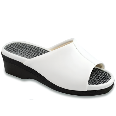 Zueco Laboral Mujer Confortable